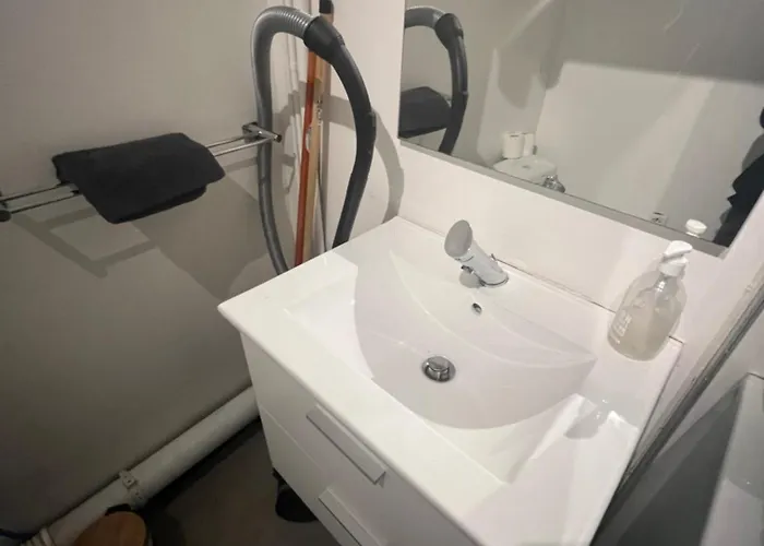 Mangin-direct Gare-parking-proche Commerces * 南特