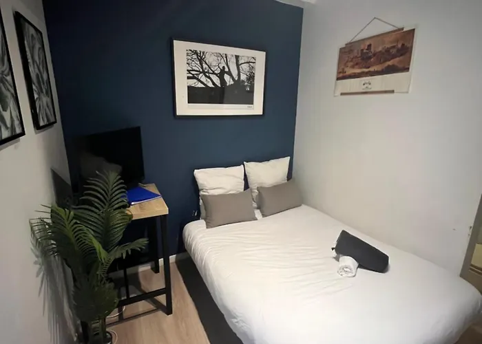 Mangin-direct Gare-parking-proche Commerces 南特