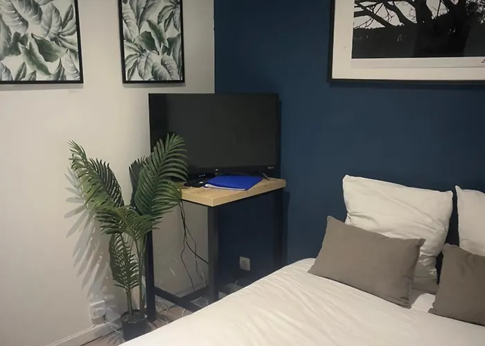 Mangin-direct Gare-parking-proche Commerces 南特